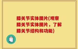 膝关节实体图片(观察膝关节实体图片，了解膝关节结构和功能)