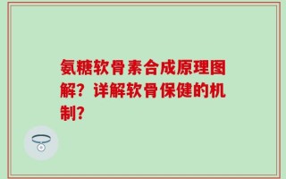 氨糖软骨素合成原理图解？详解软骨保健的机制？