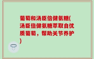 葡萄和汤臣倍健氨糖(汤臣倍健氨糖萃取自优质葡萄，帮助关节养护)