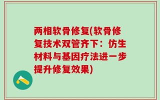 两相软骨修复(软骨修复技术双管齐下：仿生材料与基因疗法进一步提升修复效果)