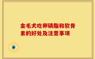 金毛犬吃卵磷脂和软骨素的好处及注意事项