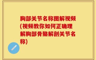 胸部关节名称图解视频(视频教你如何正确理解胸部骨骼解剖关节名称)