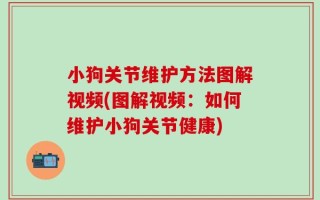 小狗关节维护方法图解视频(图解视频：如何维护小狗关节健康)