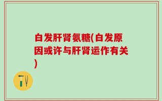 白发肝肾氨糖(白发原因或许与肝肾运作有关)