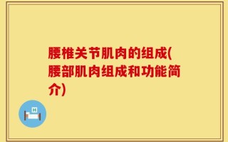 腰椎关节肌肉的组成(腰部肌肉组成和功能简介)