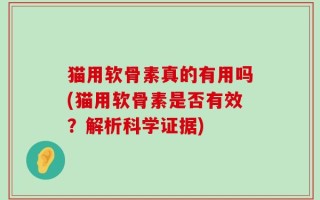 猫用软骨素真的有用吗(猫用软骨素是否有效？解析科学证据)
