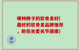 哪种牌子的软骨素好(最好的软骨素品牌推荐，助你关爱关节健康)