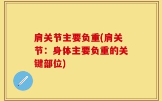 肩关节主要负重(肩关节：身体主要负重的关键部位)