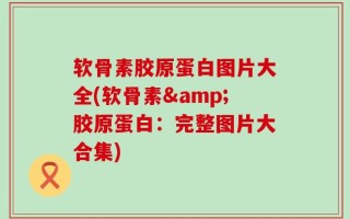 软骨素胶原蛋白图片大全(软骨素&胶原蛋白：完整图片大合集)