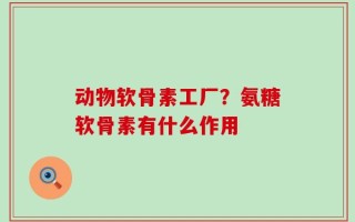 动物软骨素工厂？氨糖软骨素有什么作用