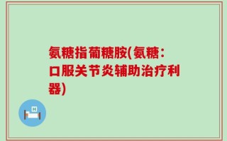 氨糖指葡糖胺(氨糖：口服关节炎辅助治疗利器)