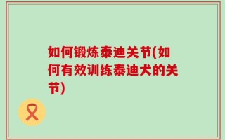 如何锻炼泰迪关节(如何有效训练泰迪犬的关节)