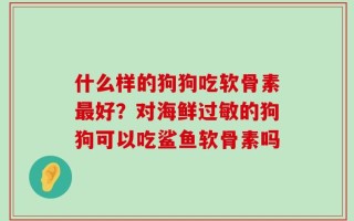 什么样的狗狗吃软骨素最好？对海鲜过敏的狗狗可以吃鲨鱼软骨素吗