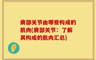 肩部关节由哪些构成的肌肉(肩部关节：了解其构成的肌肉汇总)
