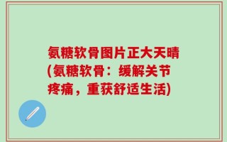 氨糖软骨图片正大天晴(氨糖软骨：缓解关节疼痛，重获舒适生活)