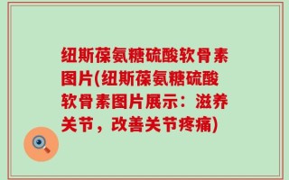 纽斯葆氨糖硫酸软骨素图片(纽斯葆氨糖硫酸软骨素图片展示：滋养关节，改善关节疼痛)