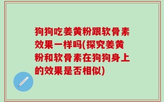 狗狗吃姜黄粉跟软骨素效果一样吗(探究姜黄粉和软骨素在狗狗身上的效果是否相似)