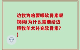 边牧为啥要喂软骨素呢视频(为什么需要给边境牧羊犬补充软骨素？)
