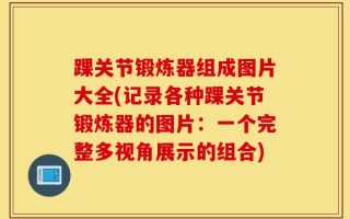 踝关节锻炼器组成图片大全(记录各种踝关节锻炼器的图片：一个完整多视角展示的组合)