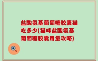 盐酸氨基葡萄糖胶囊猫吃多少(猫咪盐酸氨基葡萄糖胶囊用量攻略)