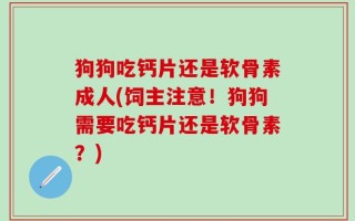 狗狗吃钙片还是软骨素成人(饲主注意！狗狗需要吃钙片还是软骨素？)