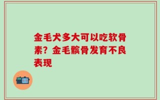 金毛犬多大可以吃软骨素？金毛髌骨发育不良表现