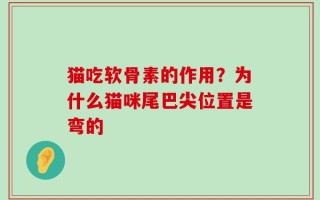猫吃软骨素的作用？为什么猫咪尾巴尖位置是弯的