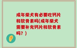 成年柴犬有必要吃钙片和软骨素吗(成年柴犬需要补充钙片和软骨素吗？)