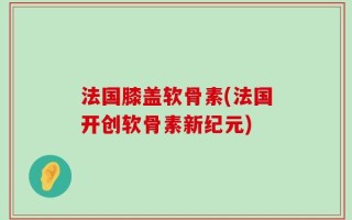 法国膝盖软骨素(法国开创软骨素新纪元)