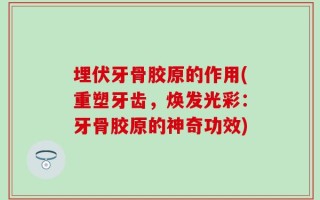 埋伏牙骨胶原的作用(重塑牙齿，焕发光彩：牙骨胶原的神奇功效)