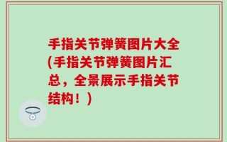 手指关节弹簧图片大全(手指关节弹簧图片汇总，全景展示手指关节结构！)
