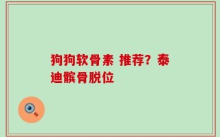 狗狗软骨素 推荐？泰迪髌骨脱位