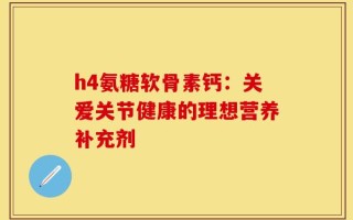 h4氨糖软骨素钙：关爱关节健康的理想营养补充剂
