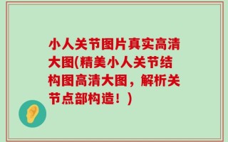 小人关节图片真实高清大图(精美小人关节结构图高清大图，解析关节点部构造！)