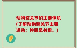 动物髋关节的主要伸肌(了解动物髋关节主要运动：伸肌是关键。)