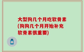 大型狗几个月吃软骨素(狗狗几个月开始补充软骨素很重要)