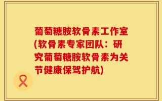 葡萄糖胺软骨素工作室(软骨素专家团队：研究葡萄糖胺软骨素为关节健康保驾护航)