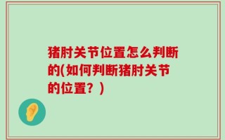 猪肘关节位置怎么判断的(如何判断猪肘关节的位置？)