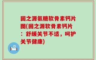 固之源氨糖软骨素钙片图(固之源软骨素钙片：舒缓关节不适，呵护关节健康)