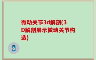 微动关节3d解剖(3D解剖展示微动关节构造)
