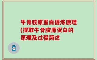 牛骨胶原蛋白提炼原理(提取牛骨胶原蛋白的原理及过程简述
