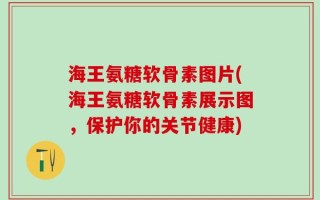 海王氨糖软骨素图片(海王氨糖软骨素展示图，保护你的关节健康)