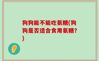 狗狗能不能吃氨糖(狗狗是否适合食用氨糖？)