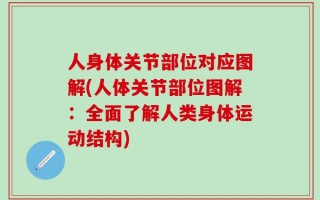 人身体关节部位对应图解(人体关节部位图解：全面了解人类身体运动结构)