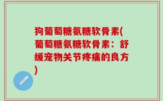 狗葡萄糖氨糖软骨素(葡萄糖氨糖软骨素：舒缓宠物关节疼痛的良方)