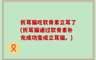 折耳猫吃软骨素立耳了(折耳猫通过软骨素补充成功变成立耳猫。)