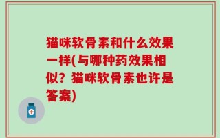 猫咪软骨素和什么效果一样(与哪种药效果相似？猫咪软骨素也许是答案)