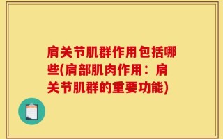 肩关节肌群作用包括哪些(肩部肌肉作用：肩关节肌群的重要功能)