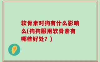 软骨素对狗有什么影响么(狗狗服用软骨素有哪些好处？)