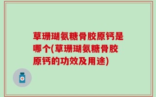 草珊瑚氨糖骨胶原钙是哪个(草珊瑚氨糖骨胶原钙的功效及用途)